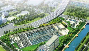 環(huán)保工程建設(shè)中蚯蚓的污泥技術(shù)解析